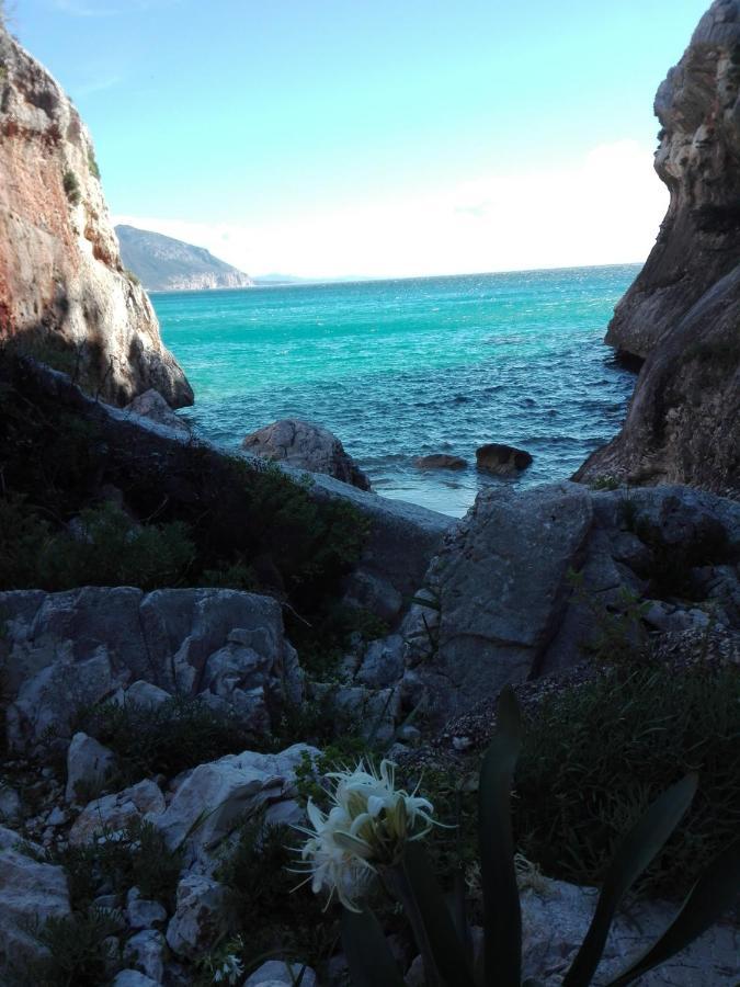 Monolocale Marizzola Apartman Cala Gonone Kültér fotó